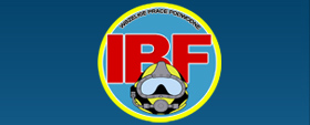 Logo: PHU IBF Igor Bartoszewicz 
