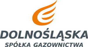 Logo: Dolnośląska Spółka Gazownictwa S.A.